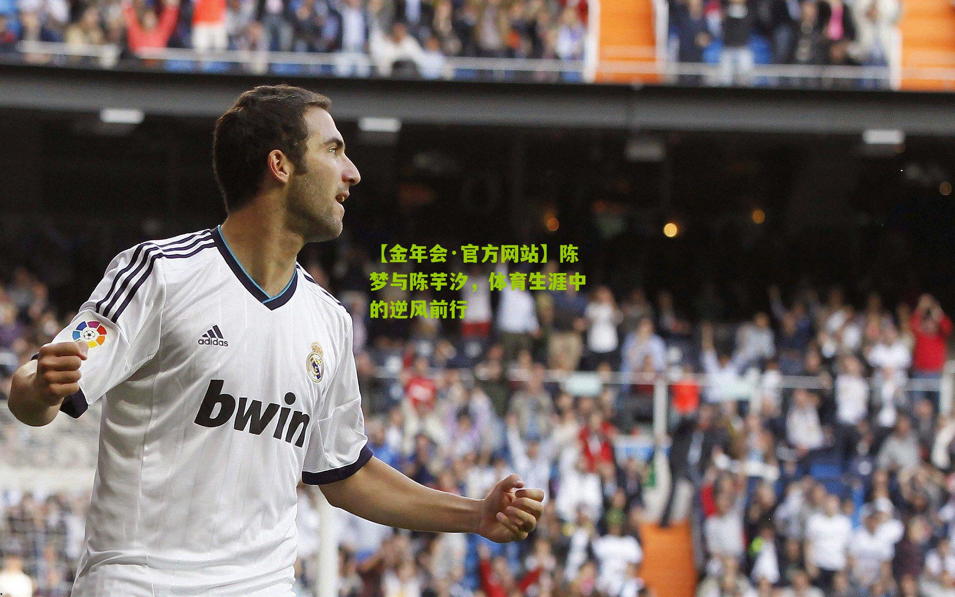 陈梦与陈芋汐，体育生涯中的逆风前行