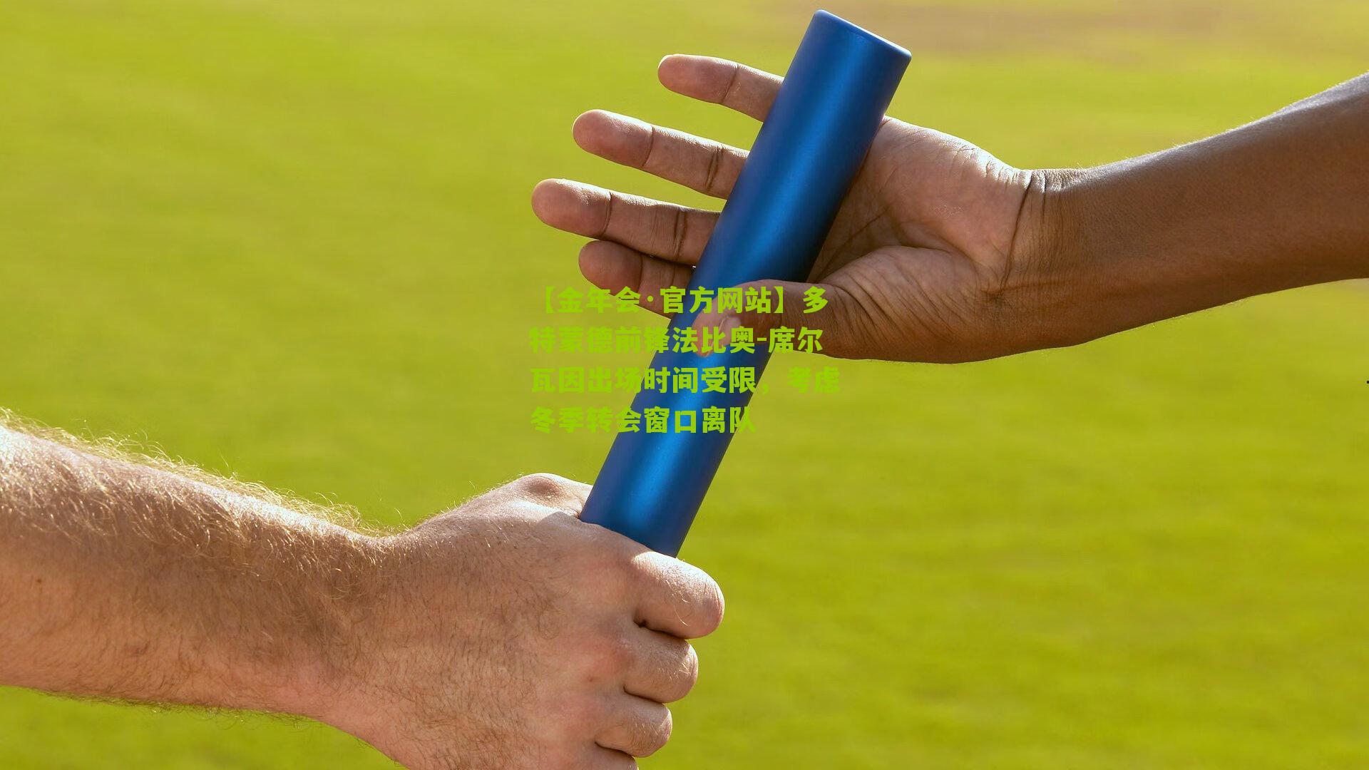 多特蒙德前锋法比奥-席尔瓦因出场时间受限，考虑冬季转会窗口离队